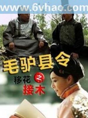 时尚先锋